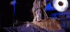 20190811_062746.gif