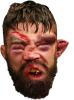 perry nose frankensteined.png