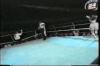tank 1.gif
