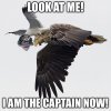 arq eagle captain.jpg arq eagle captain.jpg