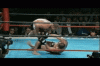 fedor vs babalu guard p.gif