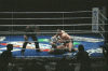 fedor 1.gif