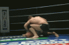 fedor 3.gif