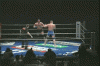 fedor 4.gif