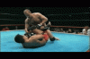 fedor 6.gif