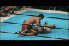 fedor 8.gif
