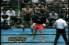 uppercut 2 Roy van de Wal vs Kenichi Ogawa.gif