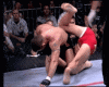 pat armbar 2.gif