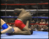 Jay R. Palmer armbar 2.gif