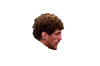 askren da template 1.png