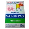 Salonpas-Pain-Relief-Patches.jpg