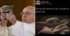 everyone-shut-up-and-look-at-these-baby-yoda-memes-30-adorable-pics-15.jpg