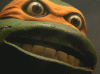 turtle triggered.gif