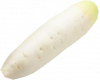 daikon.png