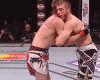 shoulder.gif