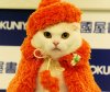 japanese-cat-costumes-2.jpg