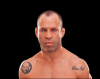 wanderlei.png