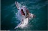 Screenshot_20200327-223451_Chrome.jpg