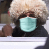 both-masks-khabib-conor-50-cent.gif