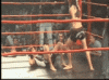 WholePlumpAfghanhound-max-1mb.gif