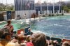MarineWorld1970.jpg MarineWorld1970.jpg