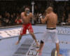 bj gsp 1.gif