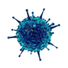 virus 2.png