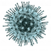 virus 4.png virus 4.png