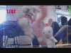 Killer_Bunnies15b.gif