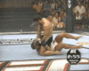 amar suloev vs baroni.gif