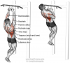 close-neutral-grip-pull-up.png