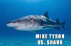 mike-tyson-bites-sharks-ear-bwr-test.jpg
