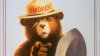 smokey-bear-forest-fires-gettyimages-50599917.jpg
