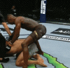 Animation1 (1).gif