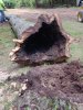 IMG_20201005_185538.jpg