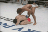 SAKU vs Ronin - strikin - 1.gif