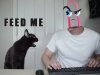 clippy cat feed me.jpg
