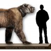 Giant-Short-Faced-Bear.jpg
