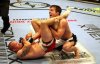 sonnen.jpg