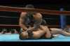 fedor vs arona Rd2 5 armbar fooked.gif fedor vs arona Rd2 5 armbar fooked.gif