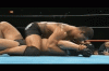 fedor vs tiger 1.gif fedor vs tiger 1.gif