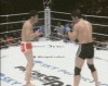 SAKU vs Mezger - 65 replay SAKU kick.gif SAKU vs Mezger - 65 replay SAKU kick.gif