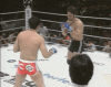 SAKU vs Mezger - 22 SAKU kick.gif SAKU vs Mezger - 22 SAKU kick.gif