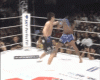 gomi vs azeredo - 1st Stand - 1.gif