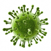 virus 1.png