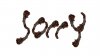 Sorry.jpg