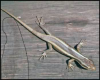 20210108_123551.png