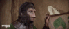 CornealasSigh.gif