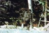 upload_2021-1-18_18-46-24.jpeg