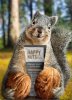happy nuts squirrel.jpg